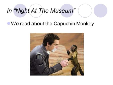 In “Night At The Museum”
