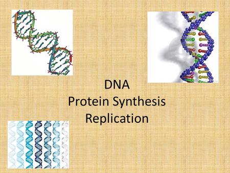DNA Protein Synthesis Replication. DNA carries a code for proteins.