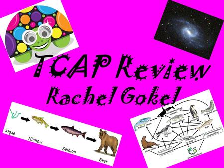 TCAP Review Rachel Gokel.