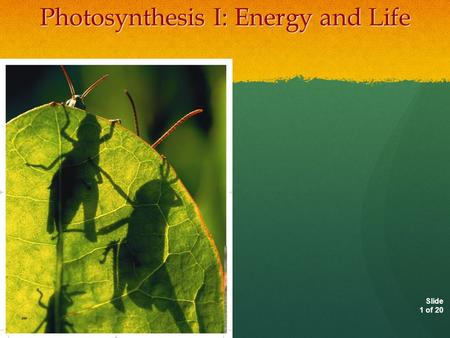 Photosynthesis I: Energy and Life