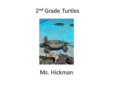 2 nd Grade Turtles Ms. Hickman. Wool Myun Aan Day (Santa Claus is coming to town in Korean) St. Nick Night Dec. 5 th,2013 at 7:00pm.