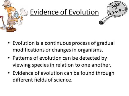 Evidence of Evolution Evolution is a continuous process of gradual modifications or changes in organisms. Patterns of evolution can be detected by viewing.
