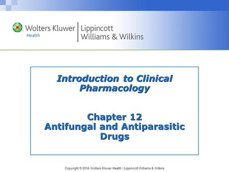 Antifungal Drugs: Actions and Uses
