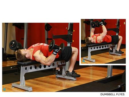 DUMBBELL BENCH PRESS Click Image To Enlarge.