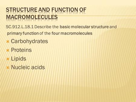 SC.912.L.18.1 Describe the basic molecular structure and primary function of the four macromolecules  Carbohydrates  Proteins  Lipids  Nucleic acids.