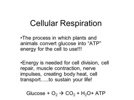 Cellular Respiration The process in which plants and animals convert glucose into “ATP” energy for the cell to use!!! Energy is needed for cell division,