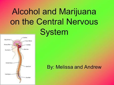 Alcohol and Marijuana on the Central Nervous System