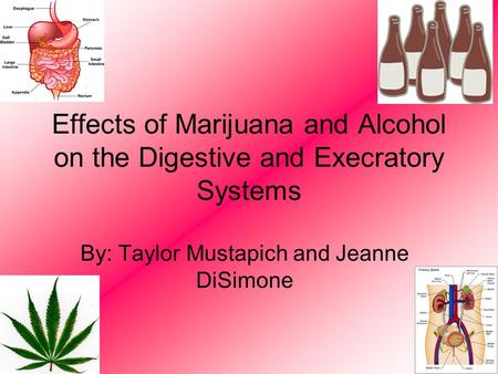 Effects of Marijuana and Alcohol on the Digestive and Execratory Systems By: Taylor Mustapich and Jeanne DiSimone.