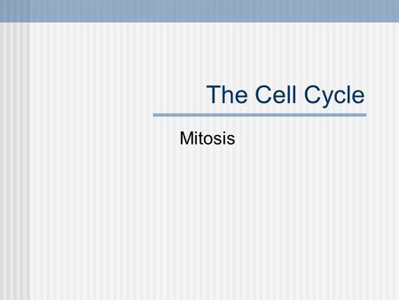 The Cell Cycle Mitosis.