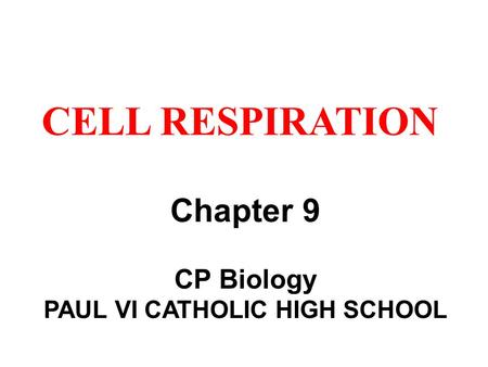 PAUL VI CATHOLIC HIGH SCHOOL