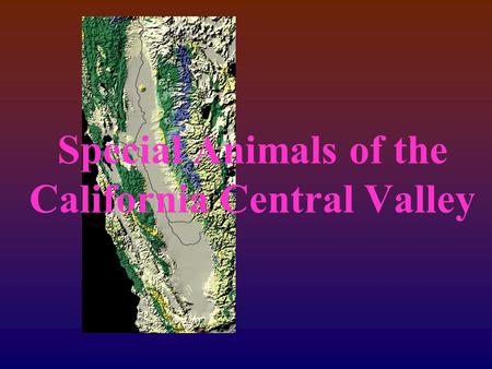 Special Animals of the California Central Valley.