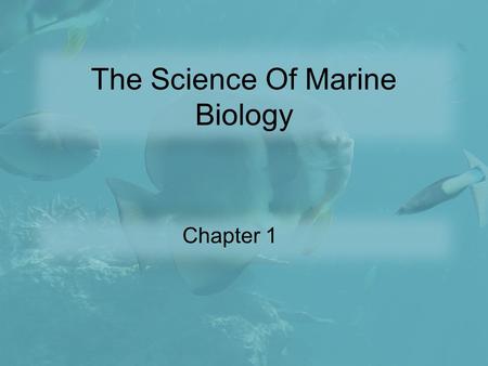 The Science Of Marine Biology