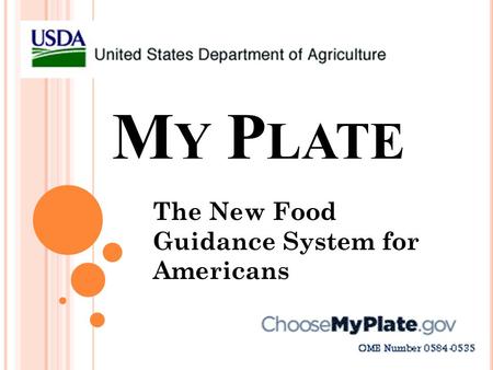 The New Food Guidance System for Americans