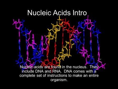 Nucleic Acids Intro Nucleic acids are found in the nucleus. They include DNA and RNA. DNA comes with a complete set of instructions to make an entire.