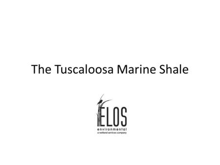 The Tuscaloosa Marine Shale. What Is The Tuscaloosa Marine Shale? The Tuscaloosa Marine Shale (TMS) is a sedimentary rock formation that consists of organic-rich.