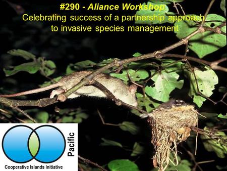 #290 - Aliance Workshop: Celebrating success of a partnership approach to invasive species management.
