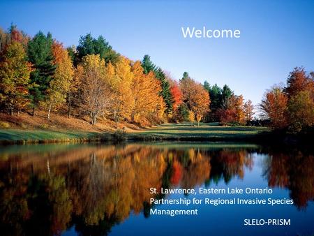 Welcome St. Lawrence, Eastern Lake Ontario Partnership for Regional Invasive Species Management SLELO-PRISM.