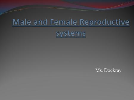 Male and Female Reproductive systems