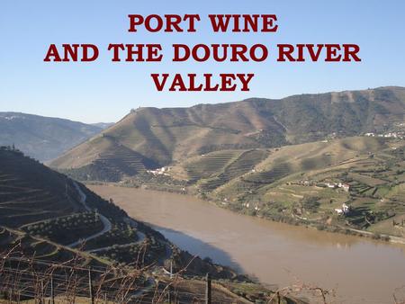 PORT WINE AND THE DOURO RIVER VALLEY