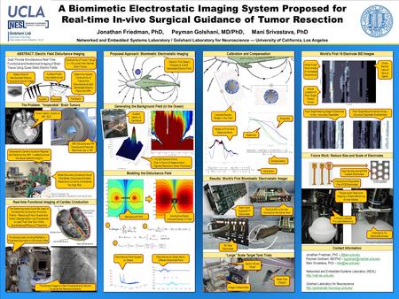 A Biomimetic Electrostatic Imaging System Proposed for Real-time In-vivo Surgical Guidance of Tumor Resection Jonathan Friedman, PhD, Peyman Golshani,