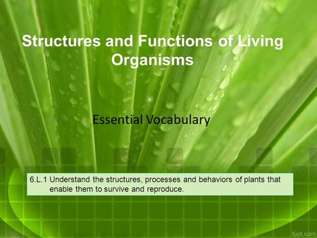 Structures and Functions of Living Organisms
