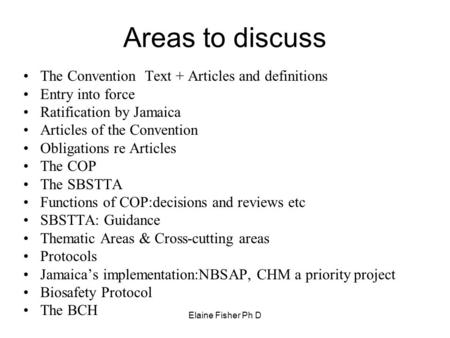 Areas to discuss The Convention Text + Articles and definitions
