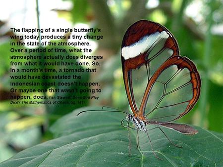 The flapping of a single butterfly's wing today produces a tiny change in the state of the atmosphere. Over a period of time, what the atmosphere actually.