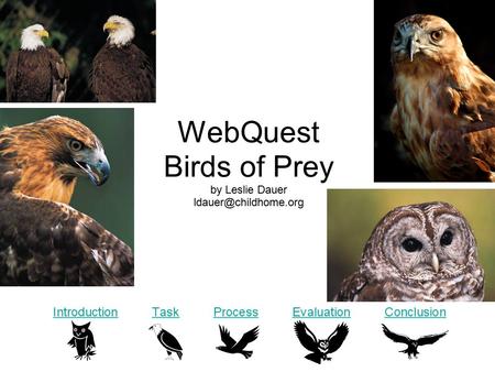 WebQuest Birds of Prey by Leslie Dauer