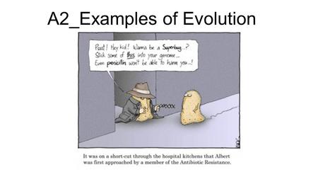 A2_Examples of Evolution