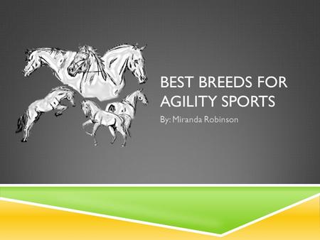 BEST BREEDS FOR AGILITY SPORTS By: Miranda Robinson.