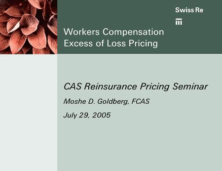 Workers Compensation Excess of Loss Pricing CAS Reinsurance Pricing Seminar Moshe D. Goldberg, FCAS July 29, 2005.