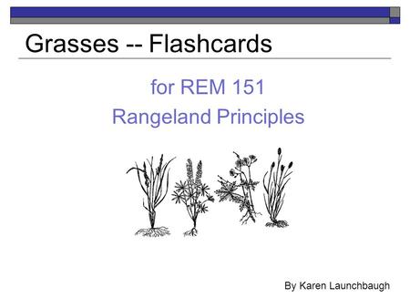 For REM 151 Rangeland Principles Grasses -- Flashcards By Karen Launchbaugh.