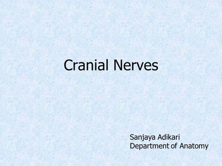 Cranial Nerves Sanjaya Adikari Department of Anatomy.