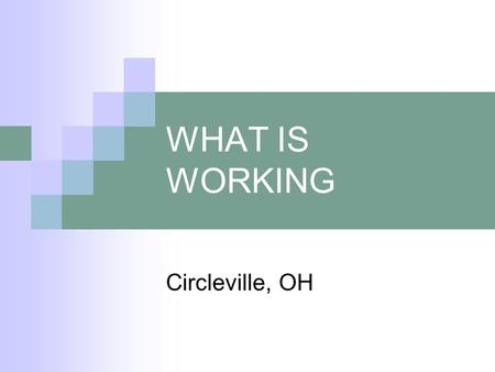 WHAT IS WORKING Circleville, OH. WHAT IS WORKING Sharing Information & Resources Between MH & VR Continued Follow-Up With Consumer & Employer Seek Grant.