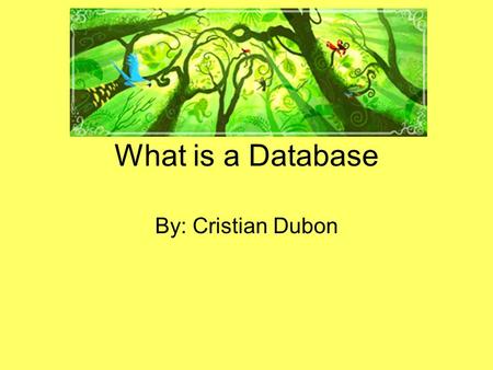 What is a Database By: Cristian Dubon.