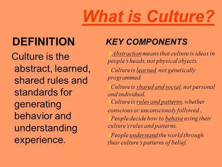 What is Culture? DEFINITION