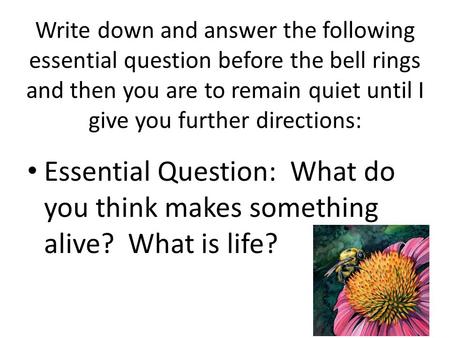 Write down and answer the following essential question before the bell rings and then you are to remain quiet until I give you further directions: Essential.