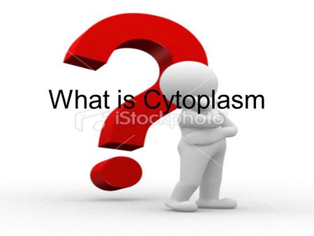 What is Cytoplasm. Cytoplasm Jelly-like fluid Occupies space Structure Cytosol –Cytoskeleton filament –Organic molecules –Salt & water.