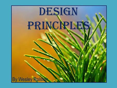 Design Principles By Wesley Rolston. Five Design Principles Proximity alignment Repetition Balance Contrast.