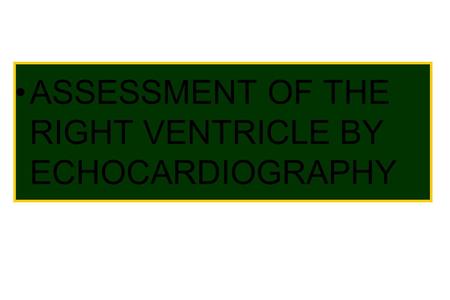 ASSESSMENT OF THE RIGHT VENTRICLE BY ECHOCARDIOGRAPHY.