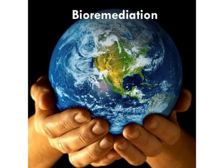 Bioremediation. Bioremediation Defined Any process that uses microorganisms, fungi, green plants or their enzymes to break down harmful chemicals and.