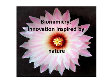 Biomimicry: Innovation inspired by nature. Biomimicry is the science and art of emulating Nature's best biological ideas to solve human problems. Biomimicry.