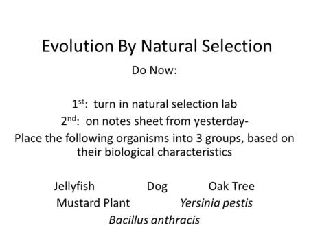Evolution By Natural Selection Do Now: 1 st : turn in natural selection lab 2 nd : on notes sheet from yesterday- Place the following organisms into 3.