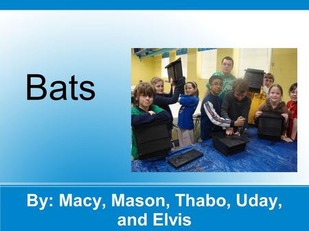 By: Macy, Mason, Thabo, Uday, and Elvis Bats. Bats Life Cycle A brown bat's life cycle has many steps. Baby bats are born after about 50-60 days in their.