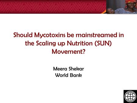 Should Mycotoxins be mainstreamed in the Scaling up Nutrition (SUN) Movement? Meera Shekar World Bank.
