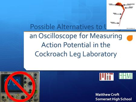 Possible Alternatives to Using an Oscilloscope for Measuring Action Potential in the Cockroach Leg Laboratory Matthew Croft Somerset High School.
