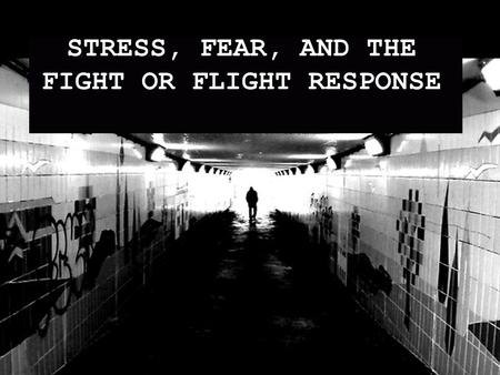 STRESS, FEAR, AND THE FIGHT OR FLIGHT RESPONSE. FIGHT OR FLIGHT OVERVIEW AMYGDALA HYPOTHALAMUS PITUITARY GLAND ADRENAL GLAND THROUGHOUT BODY.