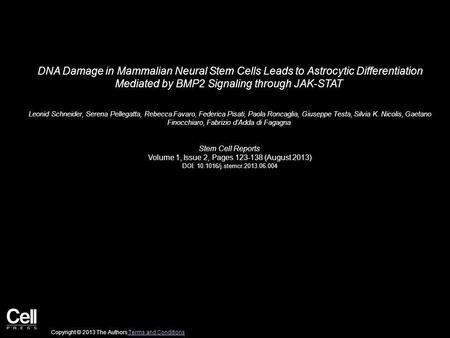 DNA Damage in Mammalian Neural Stem Cells Leads to Astrocytic Differentiation Mediated by BMP2 Signaling through JAK-STAT Leonid Schneider, Serena Pellegatta,