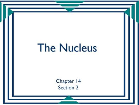 The Nucleus Chapter 14 Section 2.