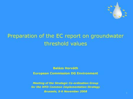 European Commission DG Environment